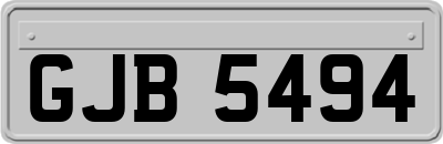 GJB5494