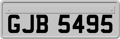 GJB5495
