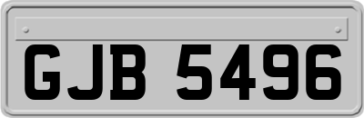 GJB5496