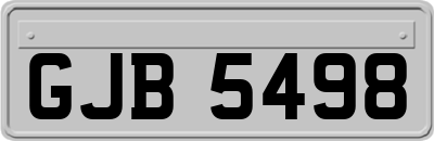 GJB5498