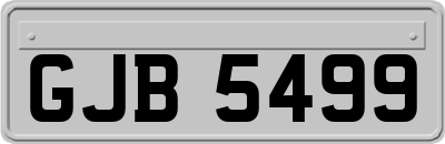 GJB5499
