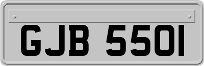GJB5501