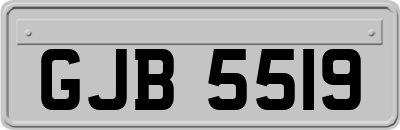 GJB5519