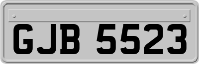 GJB5523