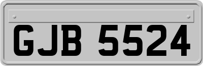 GJB5524