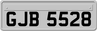 GJB5528