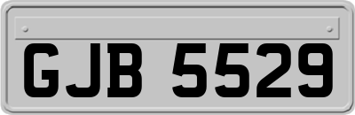 GJB5529
