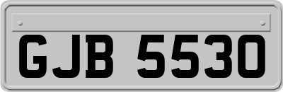 GJB5530