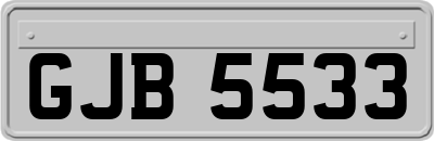 GJB5533