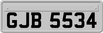 GJB5534