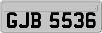 GJB5536