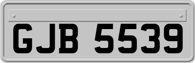 GJB5539