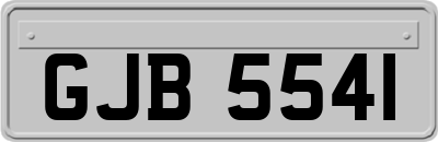GJB5541
