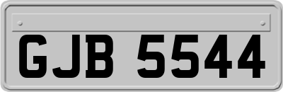 GJB5544
