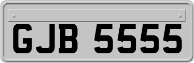 GJB5555