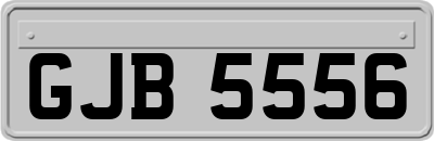 GJB5556