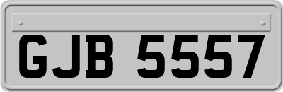GJB5557