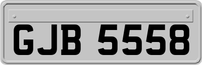 GJB5558