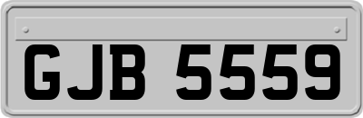 GJB5559