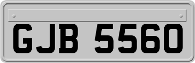 GJB5560