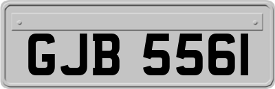 GJB5561