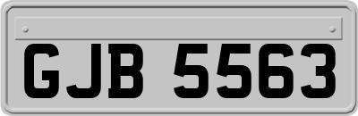 GJB5563