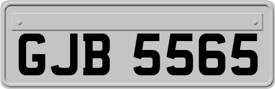 GJB5565