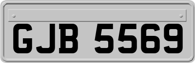 GJB5569