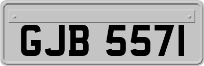 GJB5571
