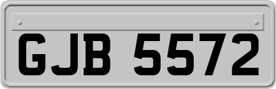 GJB5572