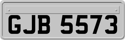 GJB5573