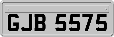 GJB5575