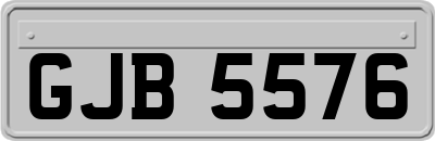 GJB5576