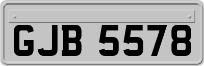 GJB5578