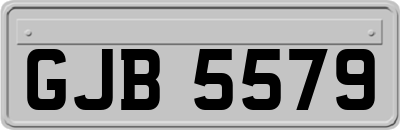 GJB5579