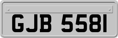 GJB5581