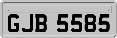 GJB5585