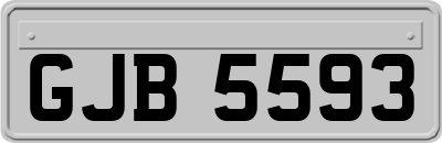 GJB5593