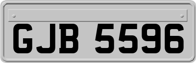 GJB5596