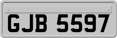 GJB5597