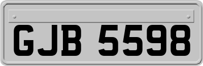 GJB5598