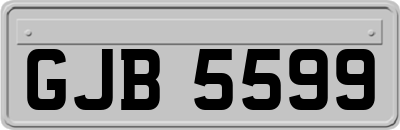 GJB5599