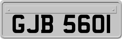 GJB5601