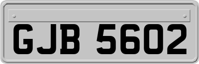 GJB5602