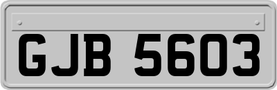 GJB5603