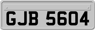 GJB5604