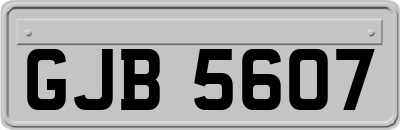 GJB5607