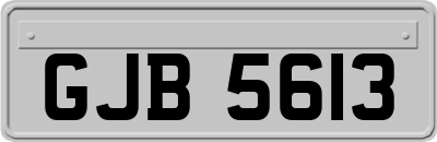 GJB5613