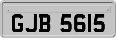 GJB5615