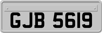 GJB5619